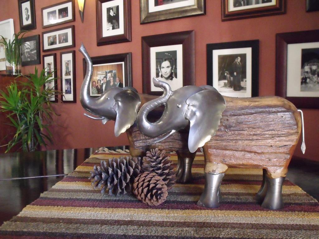 Hopefield Country House Addo Eksteriør billede