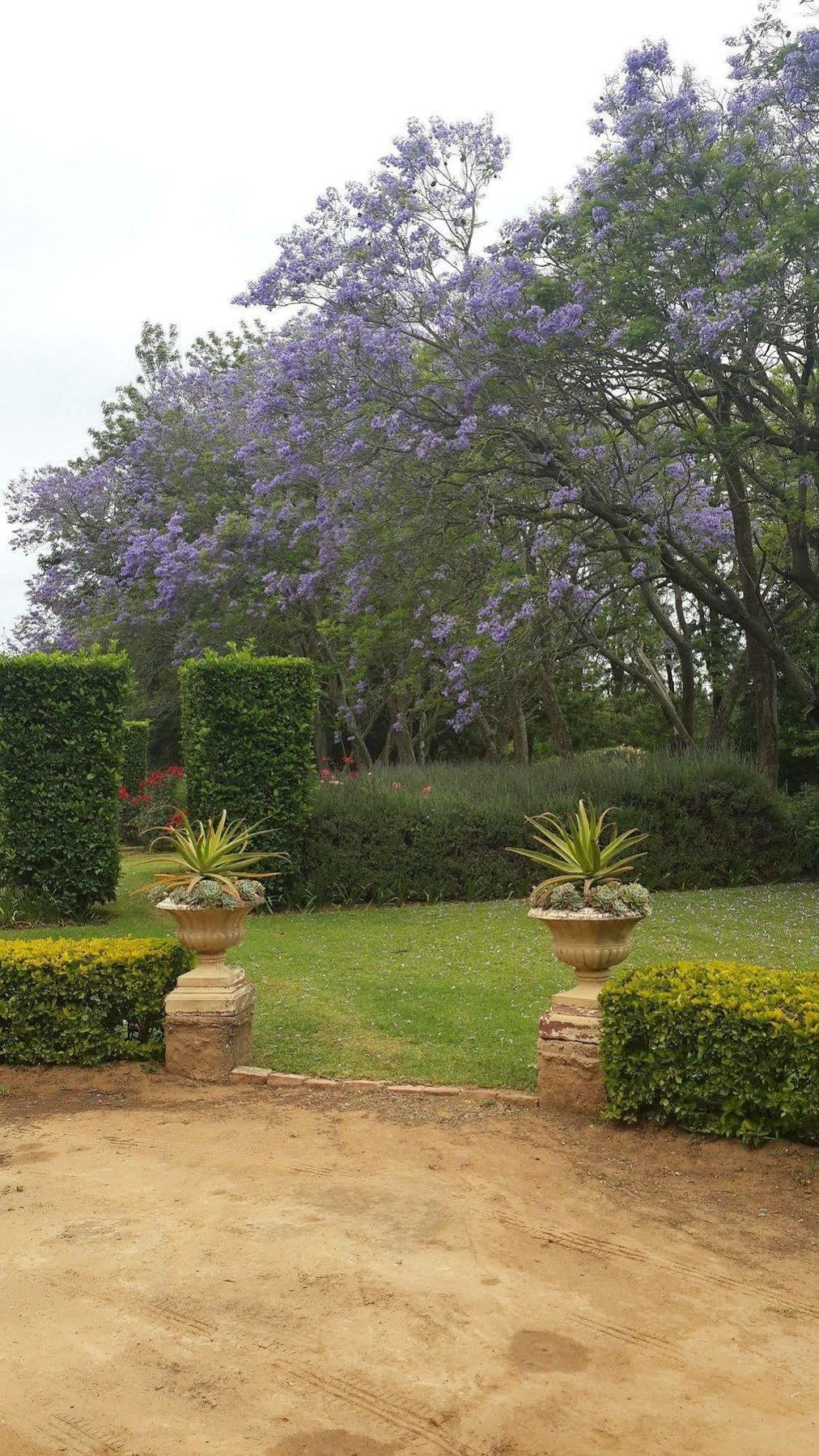 Hopefield Country House Addo Eksteriør billede
