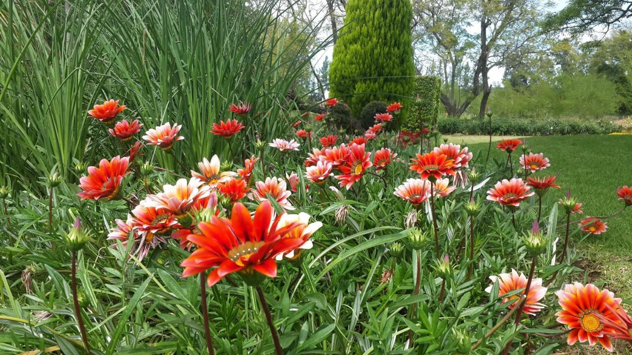 Hopefield Country House Addo Eksteriør billede
